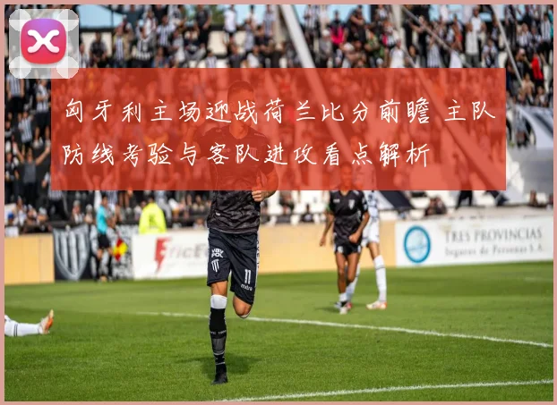 匈牙利主场迎战荷兰比分前瞻 主队防线考验与客队进攻看点解析