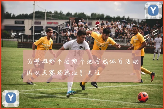 戈壁滩哪个省哪个地方成体育活动热议点赛场选址引关注
